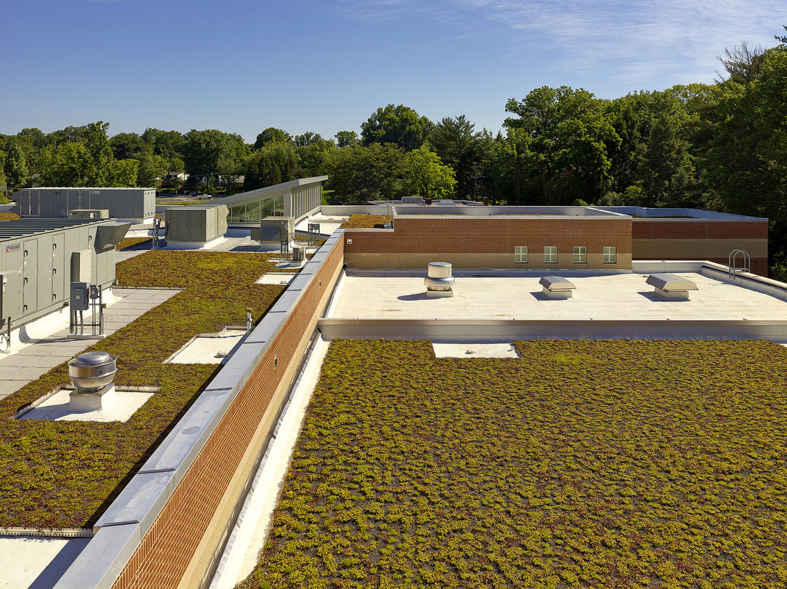 The LEED Gold certified school is a top energy performer for Montgomery County Public Schools and includes a 26,000-SF green roof, geothermal heating and cooling, a sun shade system, natural daylighting, and sustainable materials, among other green features.